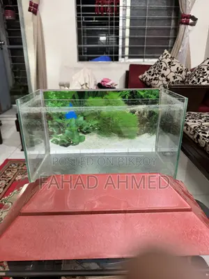 একুরিয়াম ১৮ ইঞ্চি