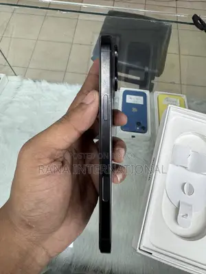 Apple iPhone 16 Pro Max 256 GB Black