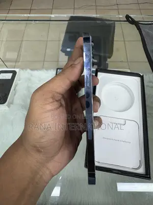 অ্যাপল আইফোন ১৩ প্রো ম্যাক্স ২৫৬ জিবি ব্লু