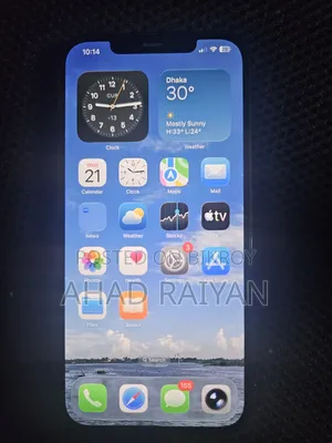 Apple iPhone 12 Pro Max 256 GB Blue