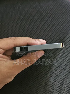 Apple iPhone 12 Pro Max 256 GB Blue