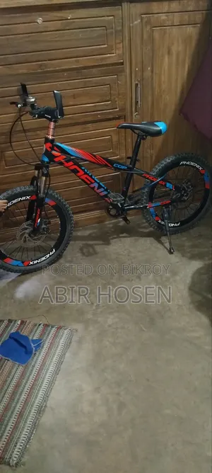 Phoenix Bicycle