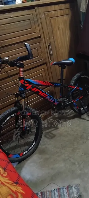 Phoenix Bicycle