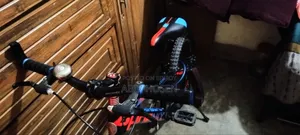 Phoenix Bicycle