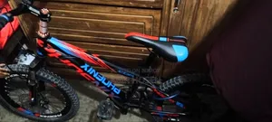 Phoenix Bicycle