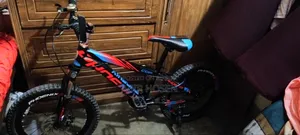 Phoenix Bicycle