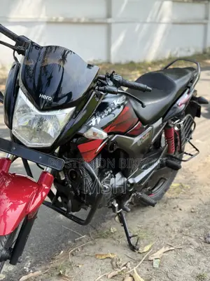 হিরো হাংক ২০২১ কালো