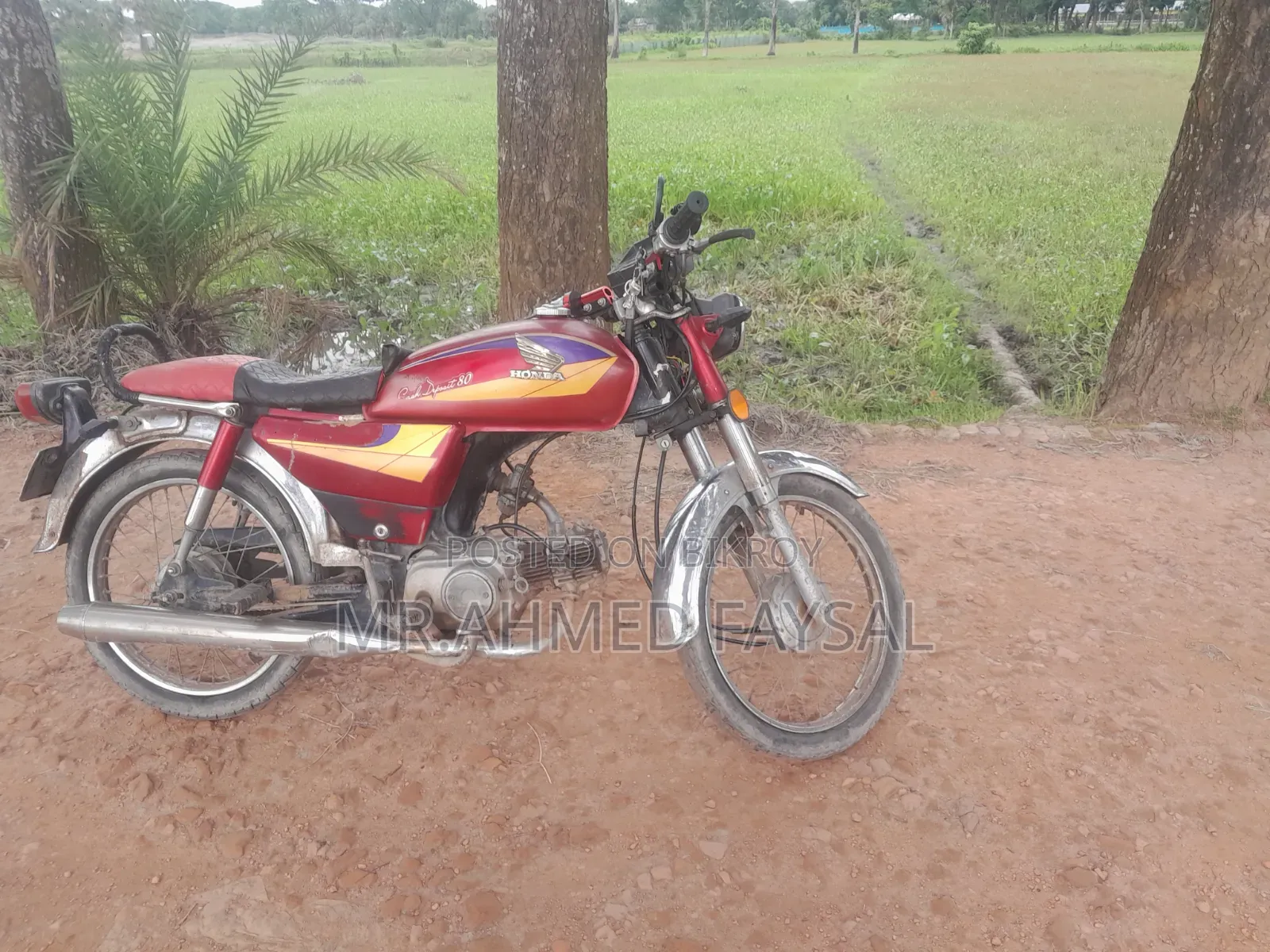 Honda 2005 Red