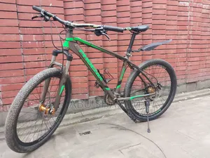 Phoenix Cycle with Oil Brakes
