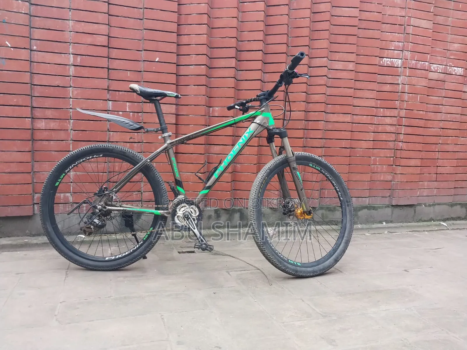 Phoenix Cycle with Oil Brakes