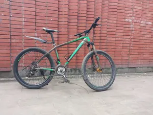 Phoenix Cycle with Oil Brakes