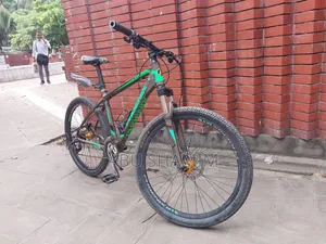 Phoenix Cycle with Oil Brakes