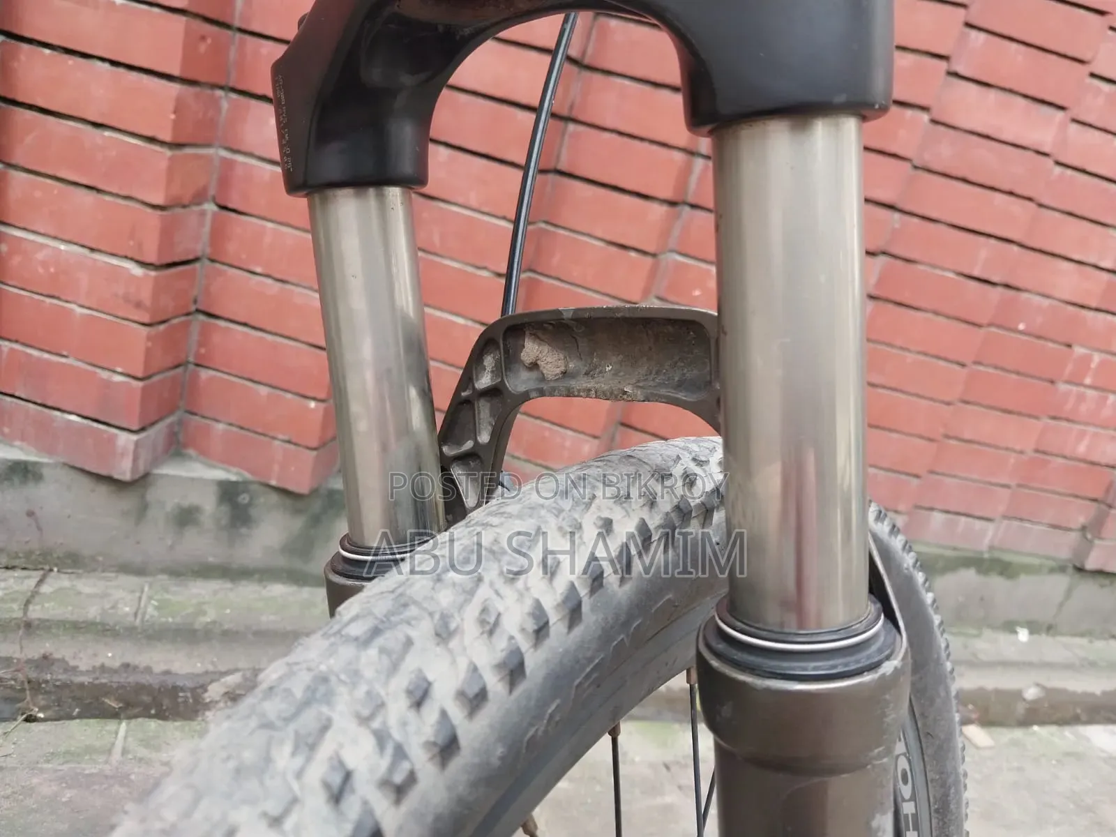 Phoenix Cycle with Oil Brakes