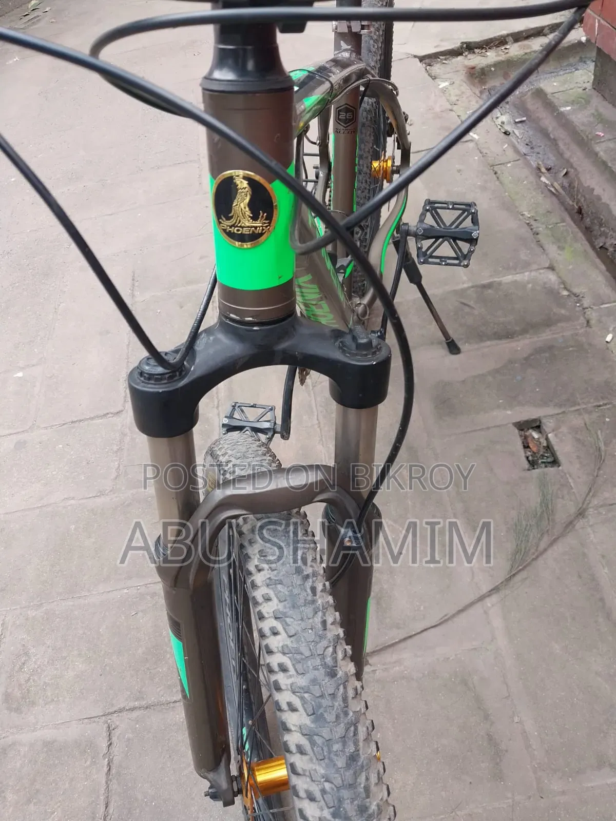 Phoenix Cycle with Oil Brakes