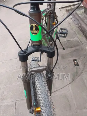 Phoenix Cycle with Oil Brakes