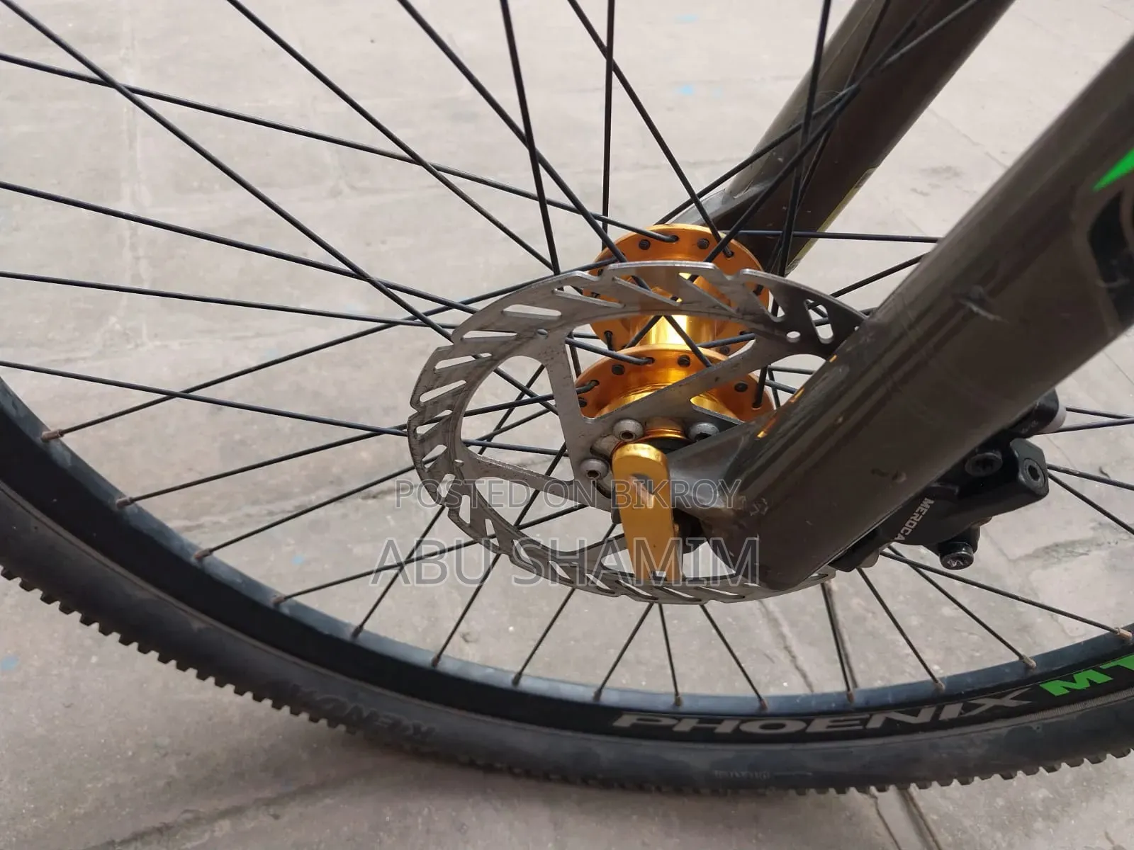 Phoenix Cycle with Oil Brakes