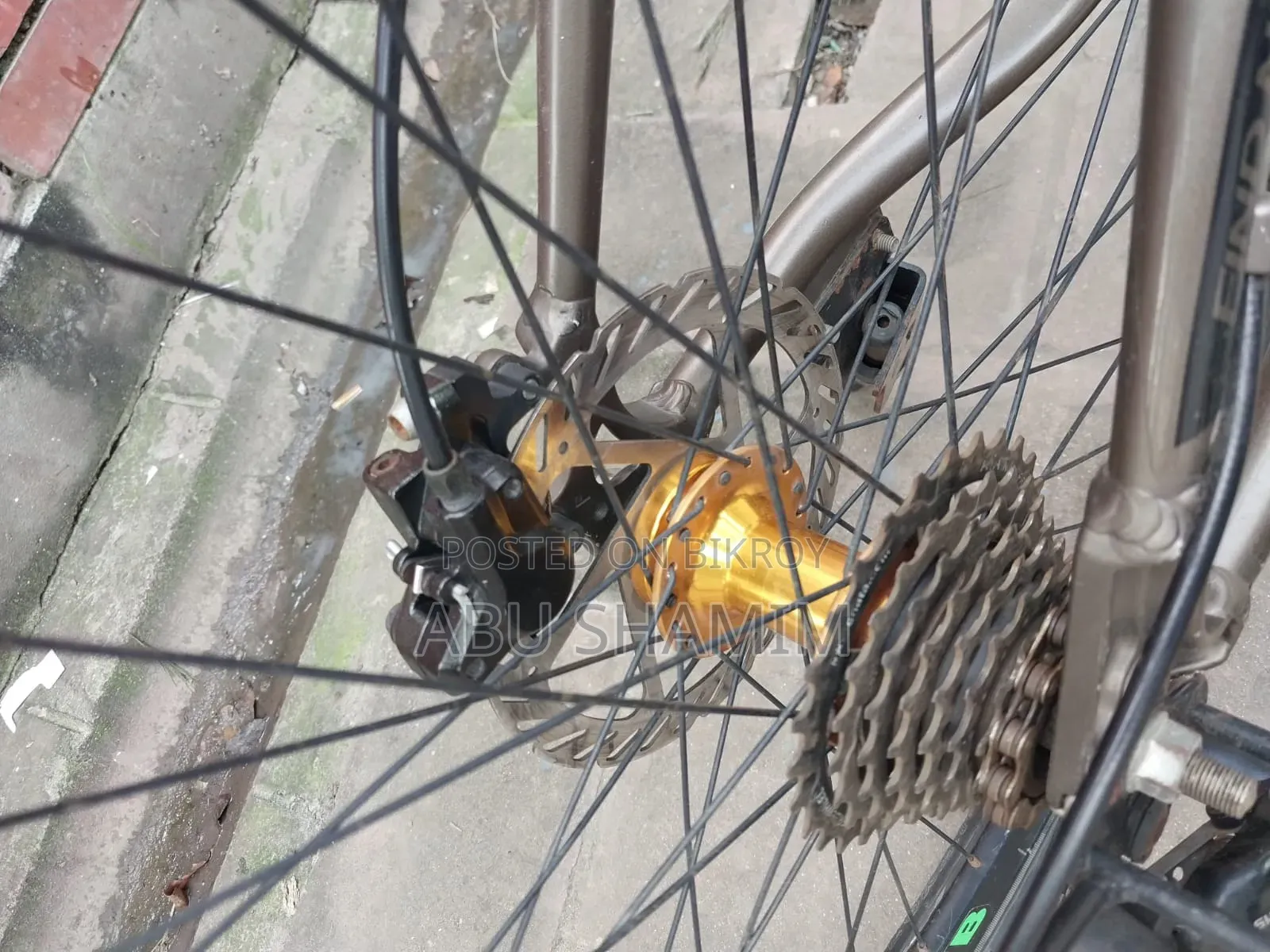 Phoenix Cycle with Oil Brakes