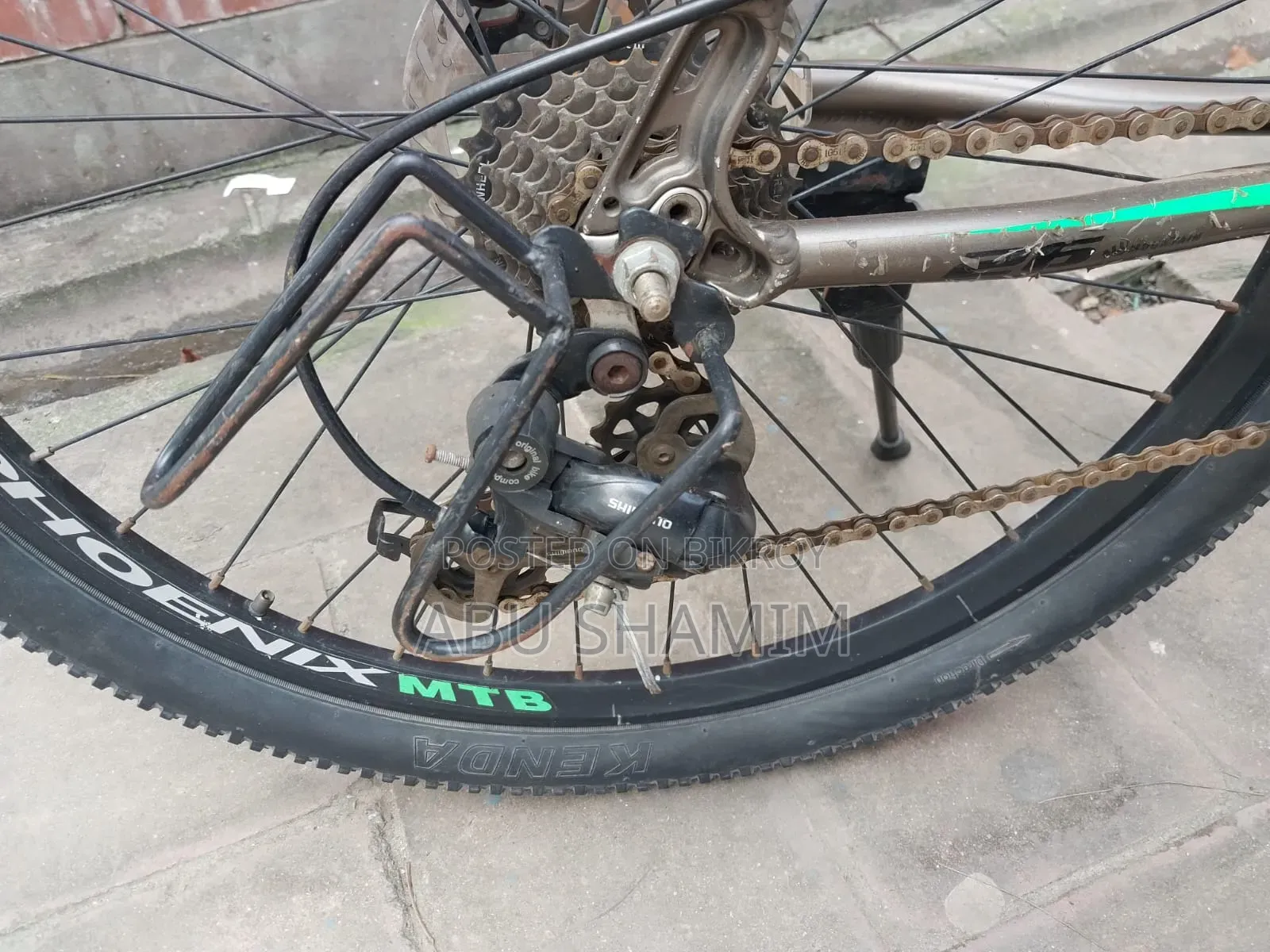 Phoenix Cycle with Oil Brakes