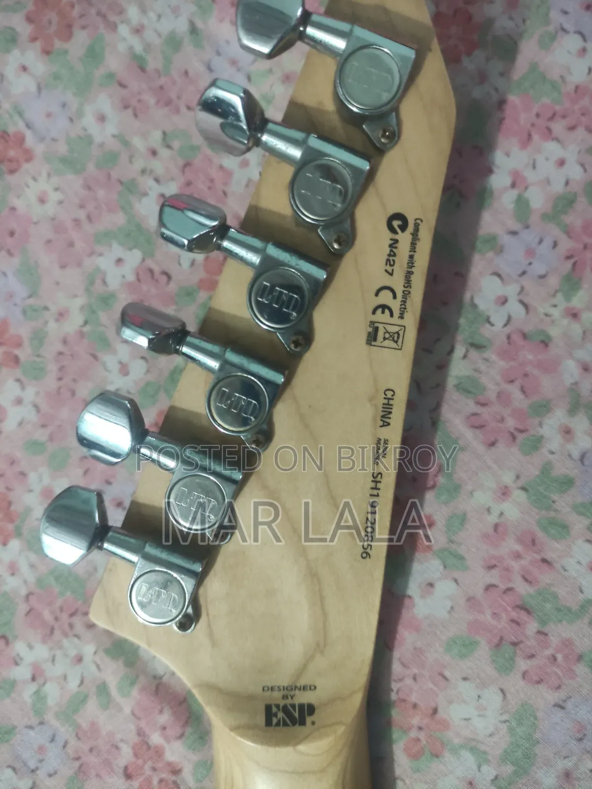 ইলেকট্রিক গিটার