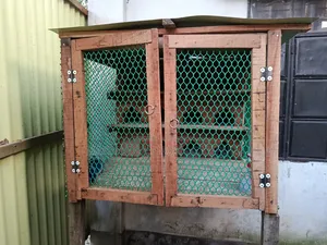 Wooden pigeon loft with 12 doors for sale.
