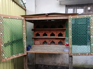 Wooden pigeon loft with 12 doors for sale.