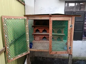 Wooden pigeon loft with 12 doors for sale.