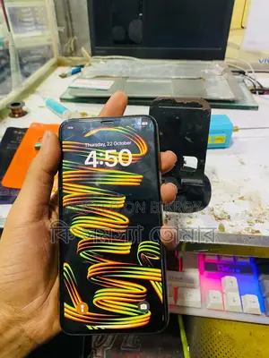 অ্যাপল আইফোন এক্সএস ম্যাক্স ২৫৬ জিবি গোল্ড