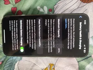 অ্যাপল আইফোন ১৩ প্রো ম্যাক্স ২৫৬ জিবি ব্লু