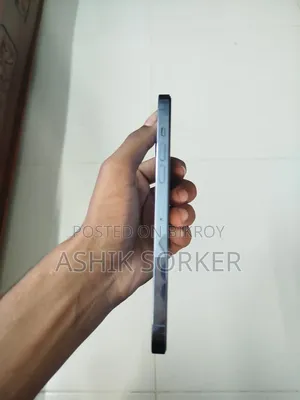 অ্যাপল আইফোন ১৩ প্রো ম্যাক্স ২৫৬ জিবি ব্লু
