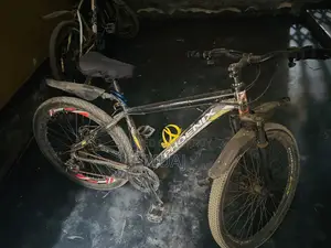 Phonix Cycle