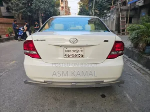 Toyota Axio 2011 Pearl