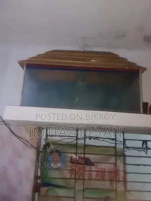 আর্জেন্ট সেল