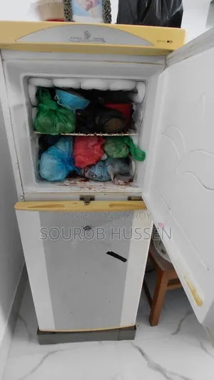 Kelvinator Fridge