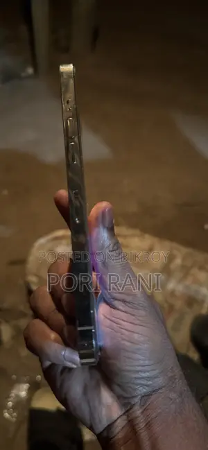 অ্যাপল আইফোন ১২ প্রো ম্যাক্স ২৫৬ জিবি গোল্ড