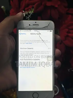 অ্যাপল আইফোন ৬ ৬৪ জিবি রোজ গোল্ড
