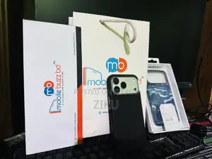 অ্যাপল আইফোন ১৭ প্রো ম্যাক্স ২৫৬ জিবি সিলভার