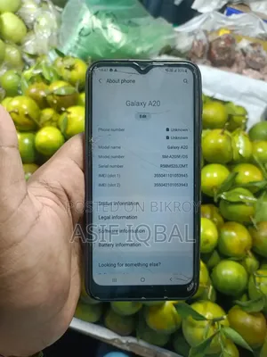 স্যামসাং গ্যালাক্সি এ২০ ৩২ জিবি গোল্ড