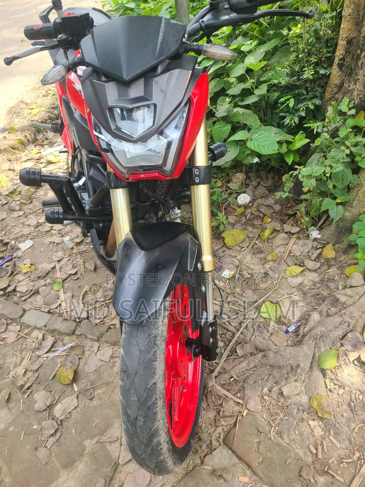 বিটুল বোল্ট করবেট ২০২২ লাল
