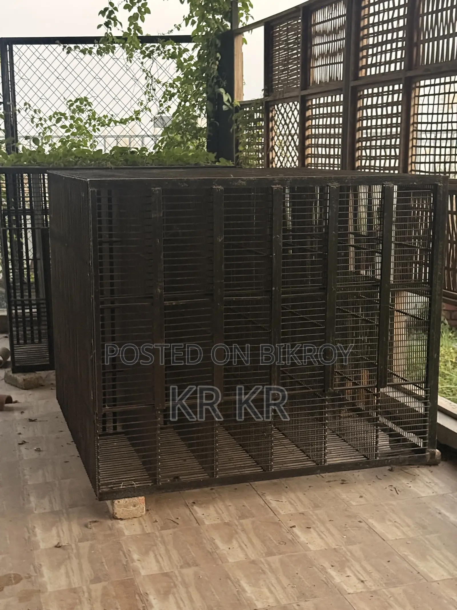 Poultry Business Cage
