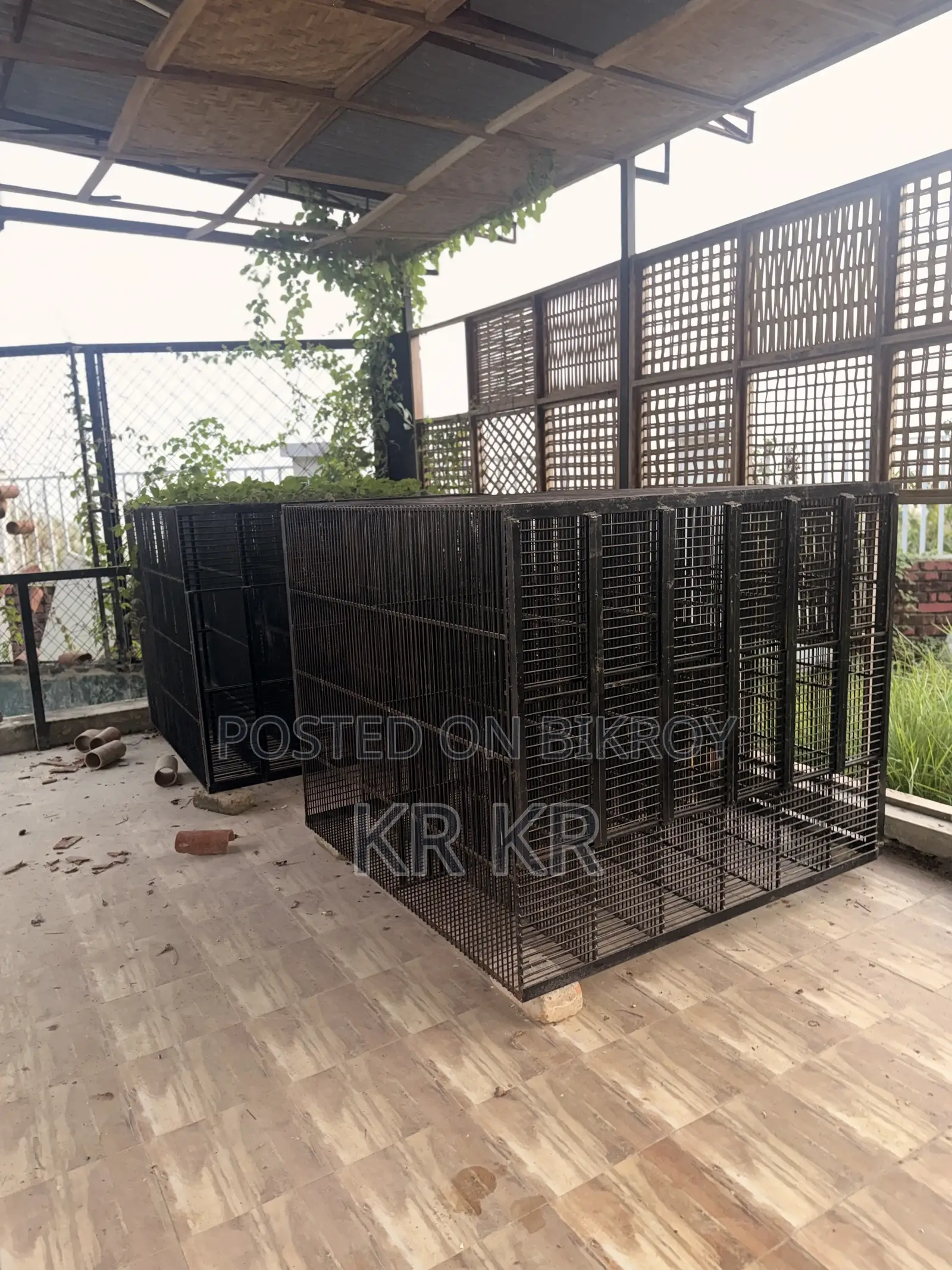 Poultry Business Cage
