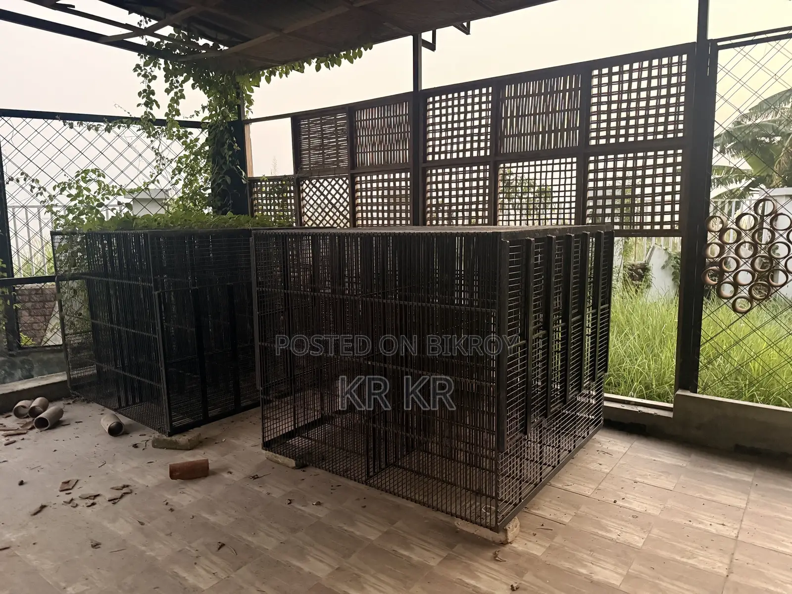 Poultry Business Cage