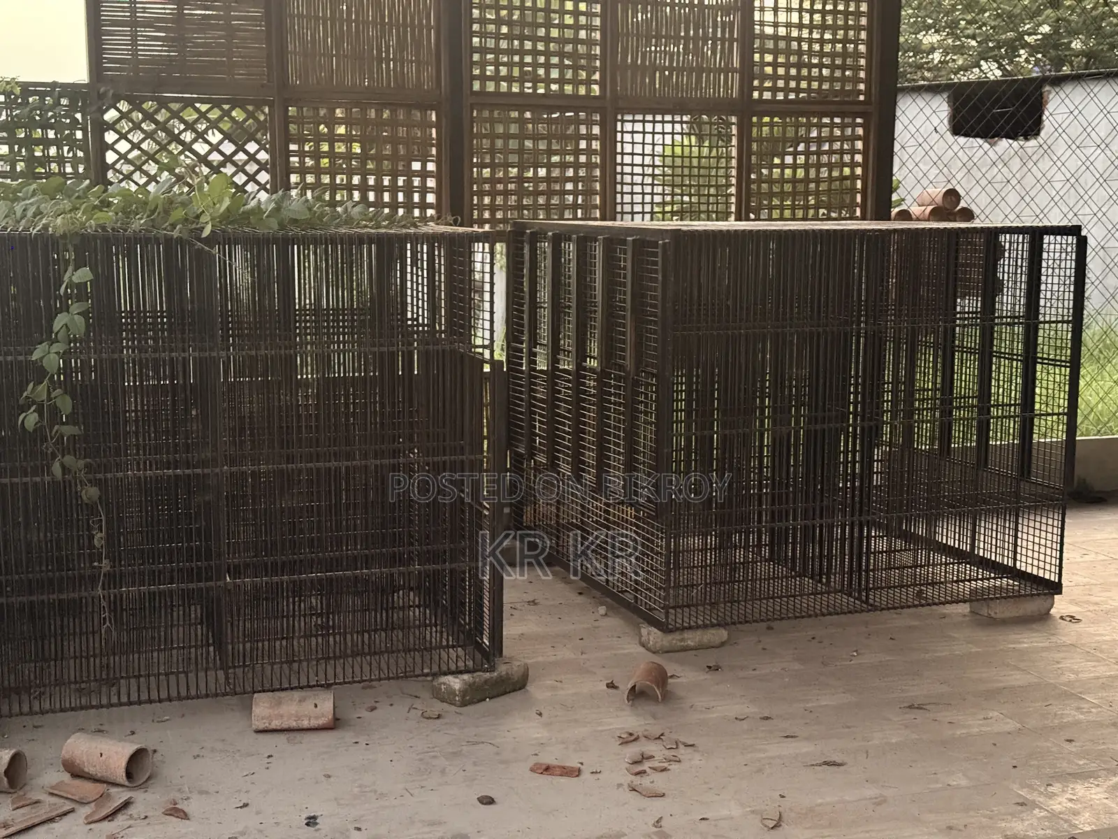 Poultry Business Cage