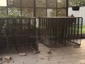 Poultry Business Cage