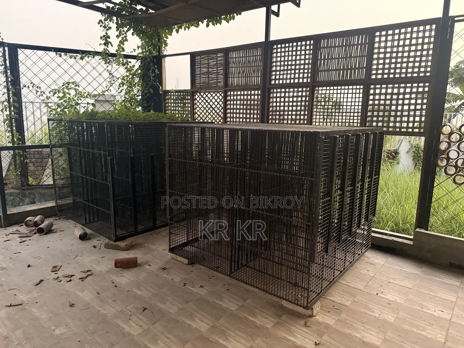 Poultry Business Cage
