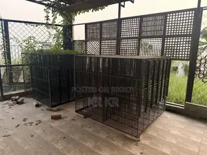 Poultry Business Cage