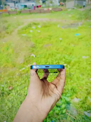 অ্যাপল আইফোন ১২ ১২৮ জিবি ব্লু