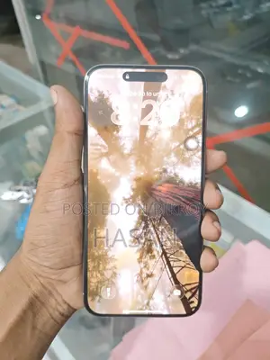 অ্যাপল আইফোন ১৫ প্রো ম্যাক্স ২৫৬ জিবি