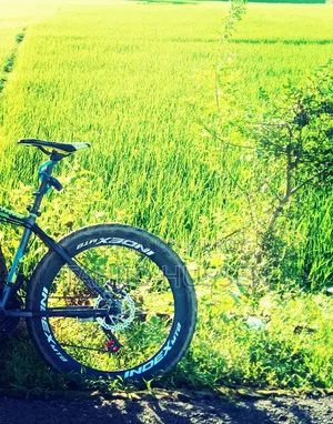 ইন্ডেক্স রাইডিং সাইকেল