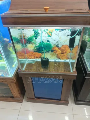 ১৮/১২/১৪ একুরিয়াম