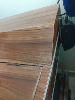 ১৮/১২/১৮ অ্যাকোরিয়াম